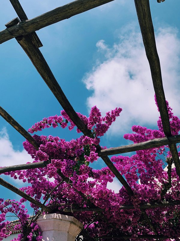Rideau store pour pergola : créez votre oasis d'intimité